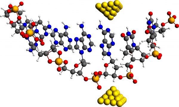 Schematic representation of transverse current DNA sequencing setup: A single-strand DNA molecule translocating between metal contacts embedded in a nanopore.